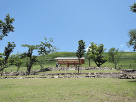 The Nara Park