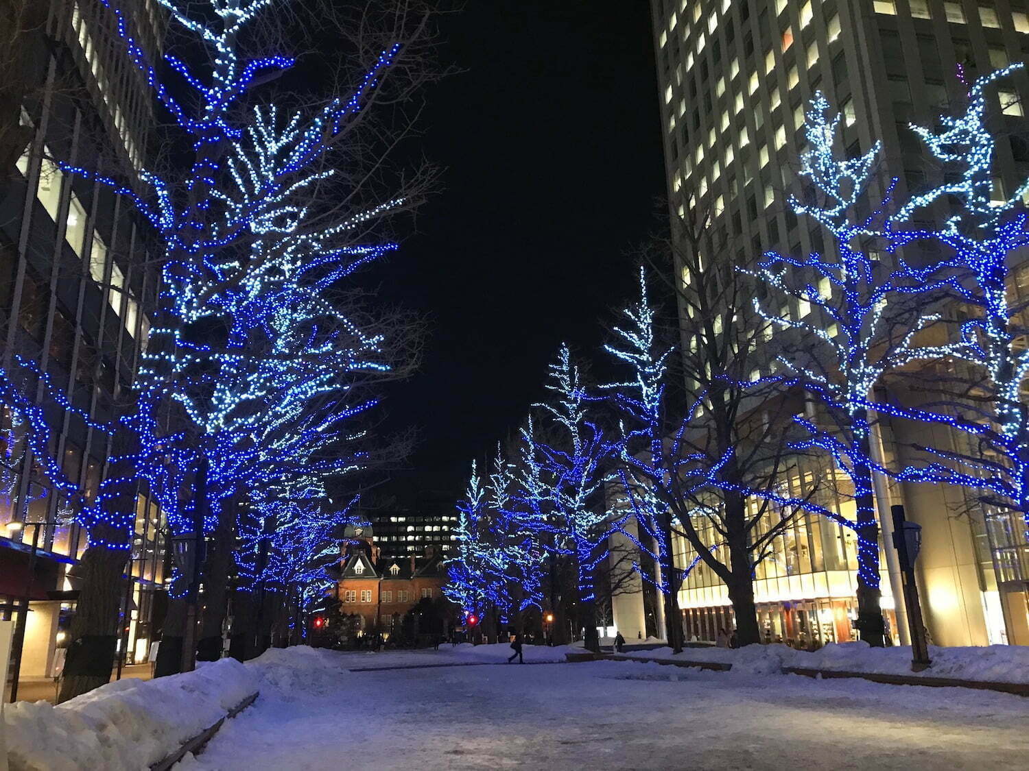 Sapporo city