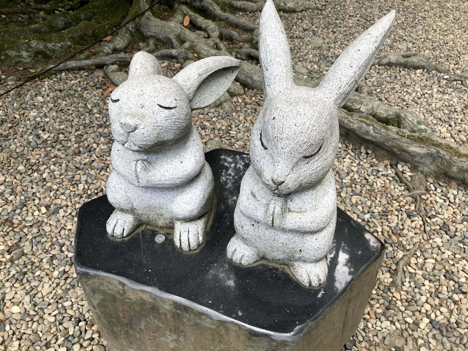 Stature of white rabbit