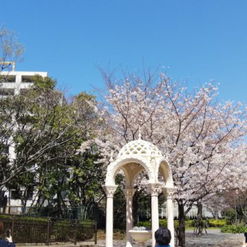 sakura_suijinpark