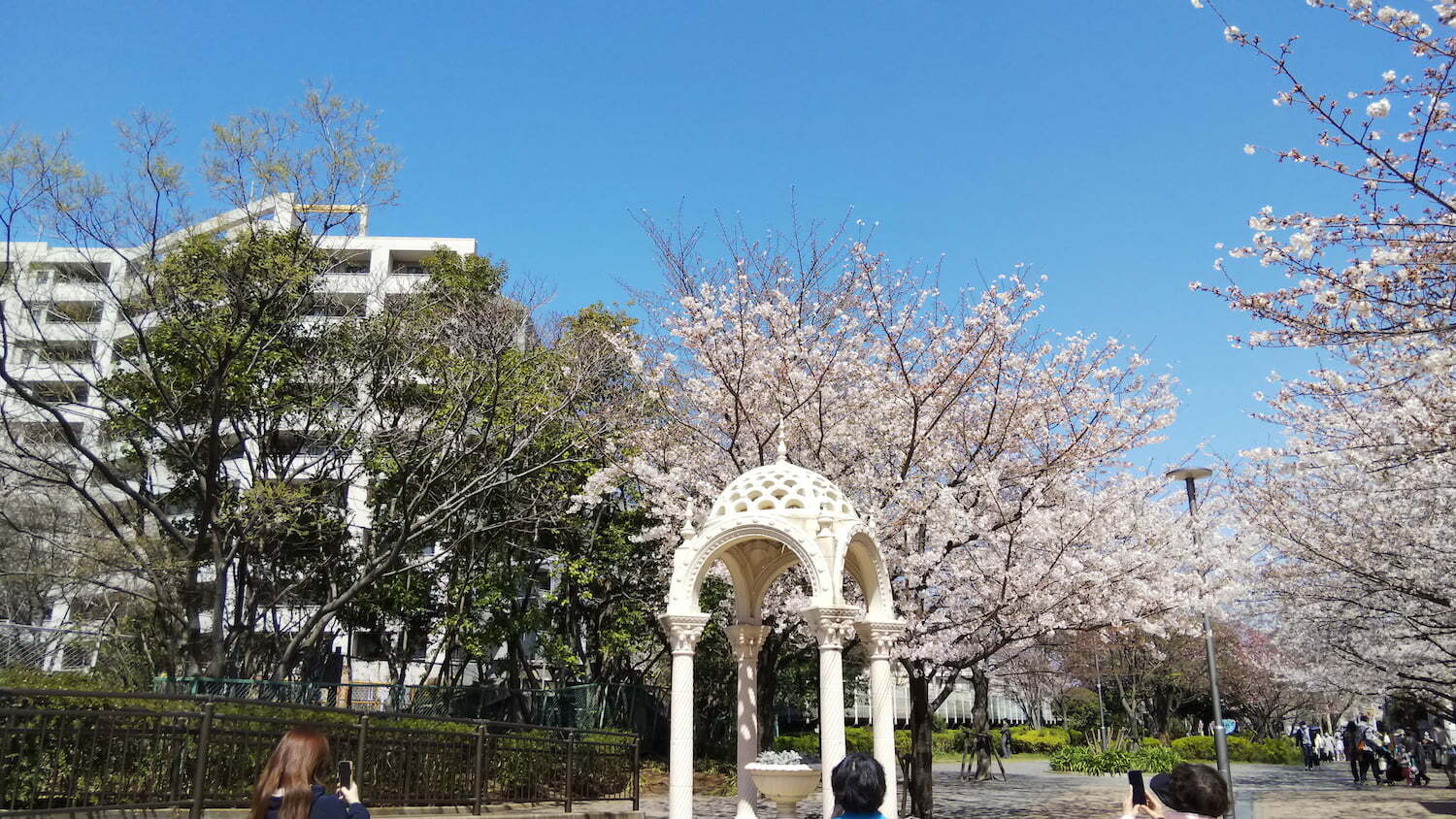 Sakura suijin park