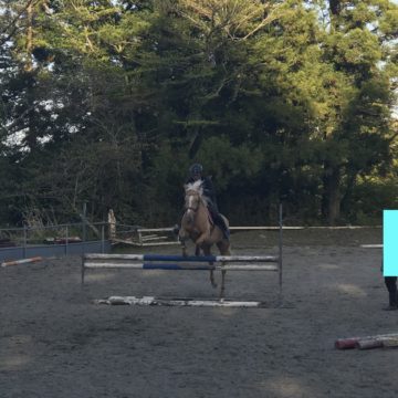 Demonstration by the coach