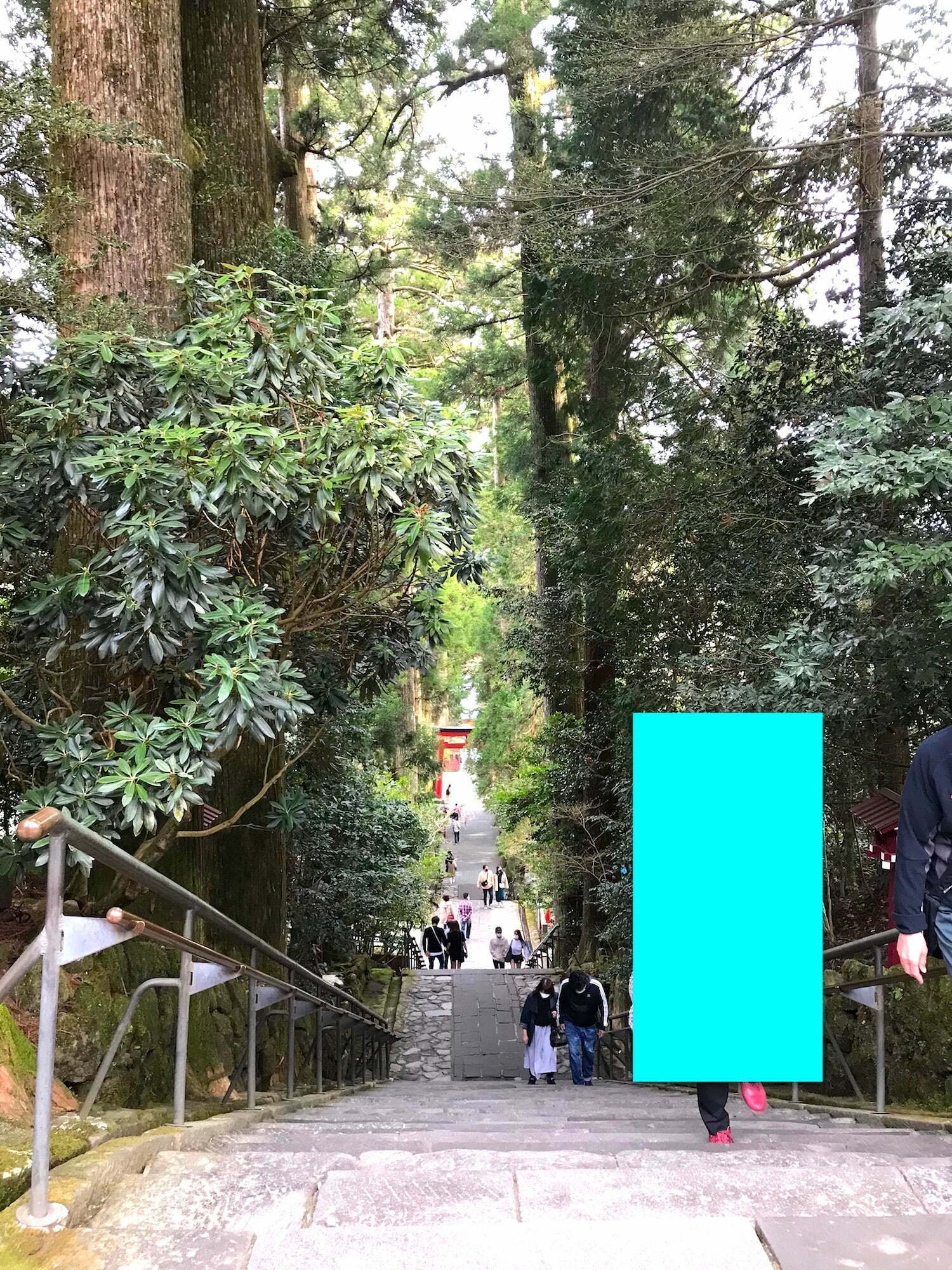Stairs to Hakone shrine